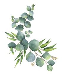 [2016FXEU] Eucalyptus (4x4L)